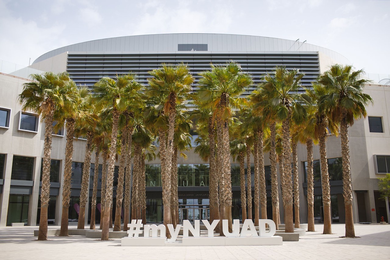 New York University Abu Dhabi | Junior Research Scientist | Recruitment 2026