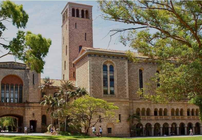 Assistant Professor Jobs – UWA India 2026