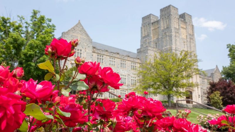 Virginia Tech USA | Postdoc & Faculty Positions | Recruitment 2026 