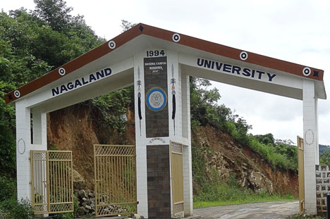Nagaland University Recruitment 2026 – Project Associate-I (Walk-in-Interview)