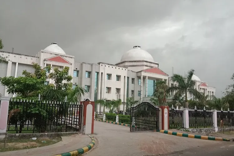 CSJMU Recruitment 2026: Senior Training & Placement Officer Vacancy