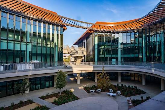 Stanford Science Fellows Program 2026: Apply Online for Postdoctoral Fellowships