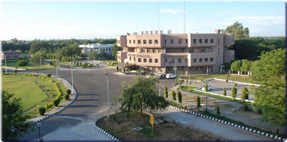 NIT Jalandhar Recruitment 2026 | Junior Research Fellow (JRF) Vacancy – Department of Information Technology