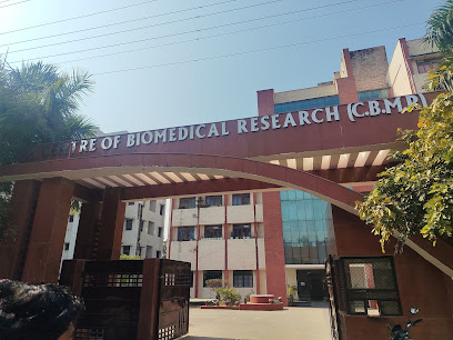 CBMR Junior Research Fellow (JRF) Recruitment 2026 | ANRF-ECRG Funded Project 
