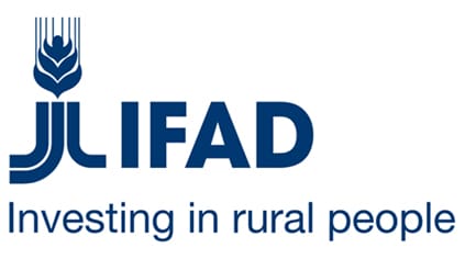 IFAD Call for Proposals 2026 – Rural Sector Performance Assessment for Policy and Investment